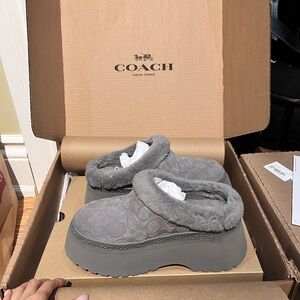 Coach Charcoal Clog Platform